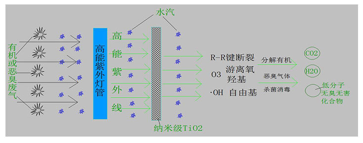 9001cc金沙以诚为本